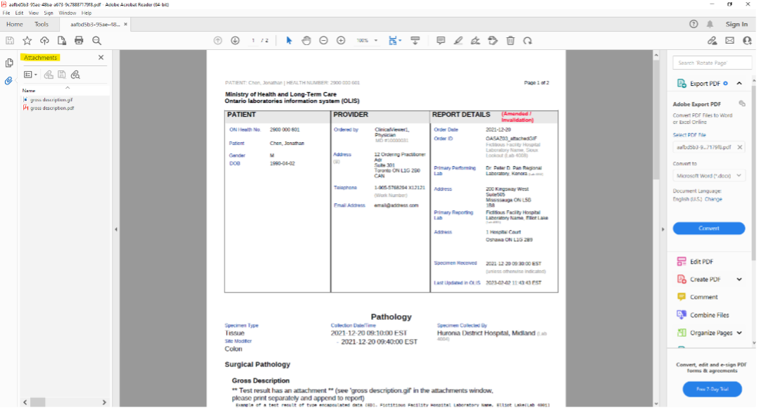 Encapsulated document