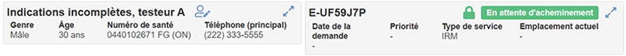 Capture d'écran d'un formulaire de demande médicale indiquant le statut « En attente d'évaluation et de triage. » Les informations clés comprennent le demandeur, le lieu d'origine et le lieu actuel.